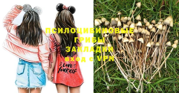 шишки Баксан
